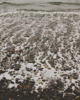 Editorial HAVEN Along the Coast Spring 2026 14