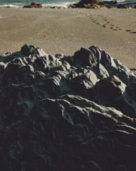 Editorial HAVEN Along the Coast Spring 2026 17