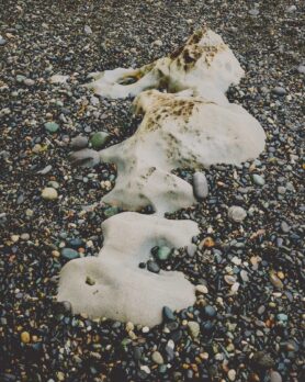 Editorial HAVEN Along the Coast Spring 2026 23