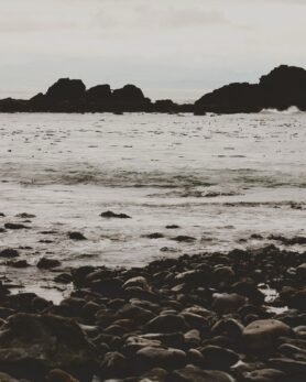 Editorial HAVEN Along the Coast Spring 2026 7