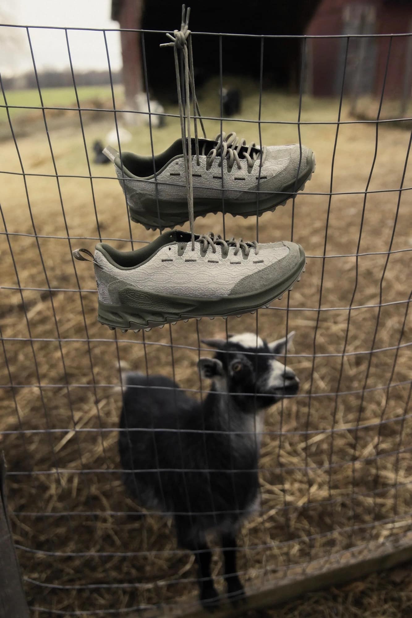 18 East x KEEN Jasper Zionic Spring 2026 3