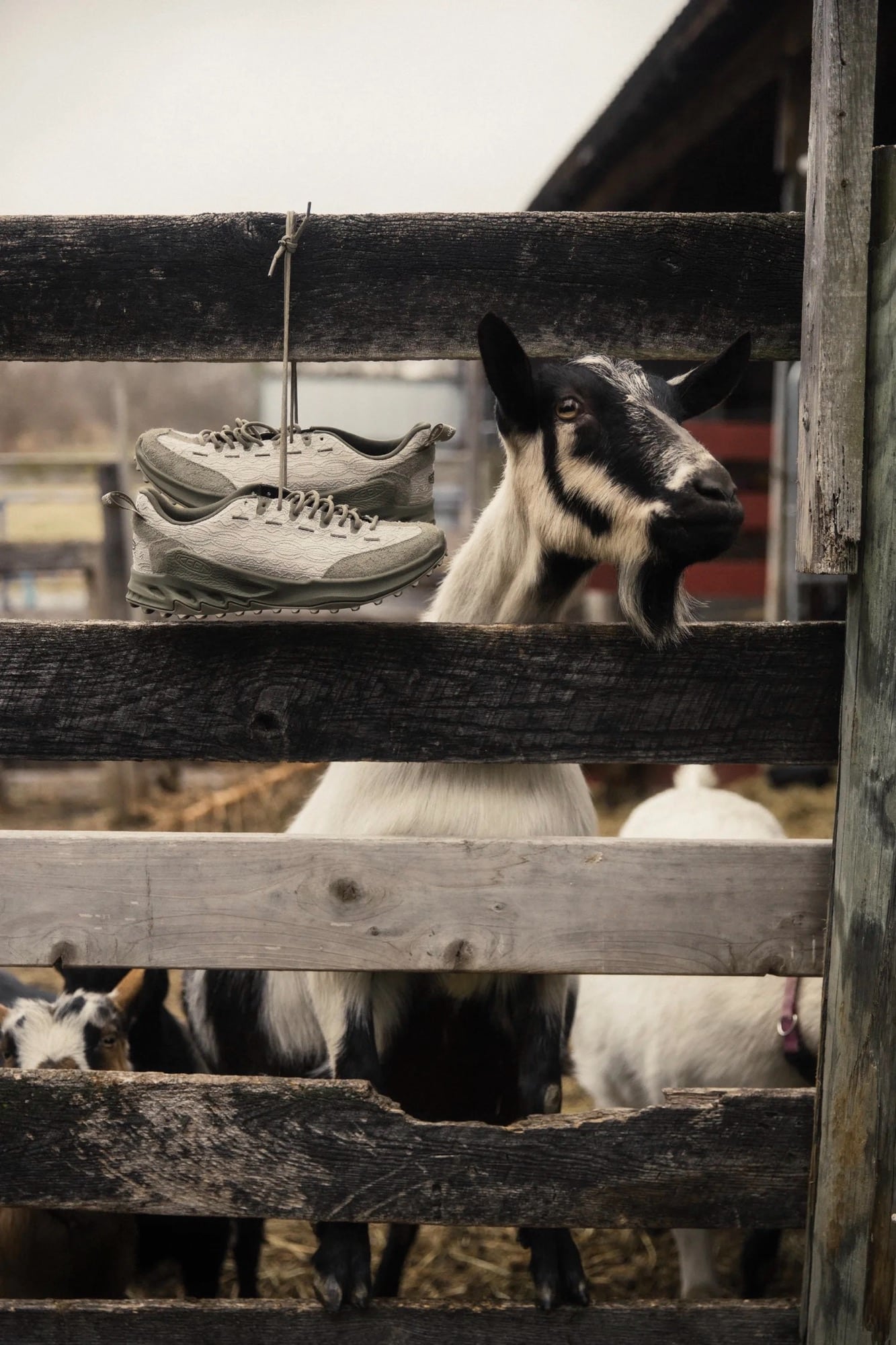 18 East x KEEN Jasper Zionic Spring 2026 5