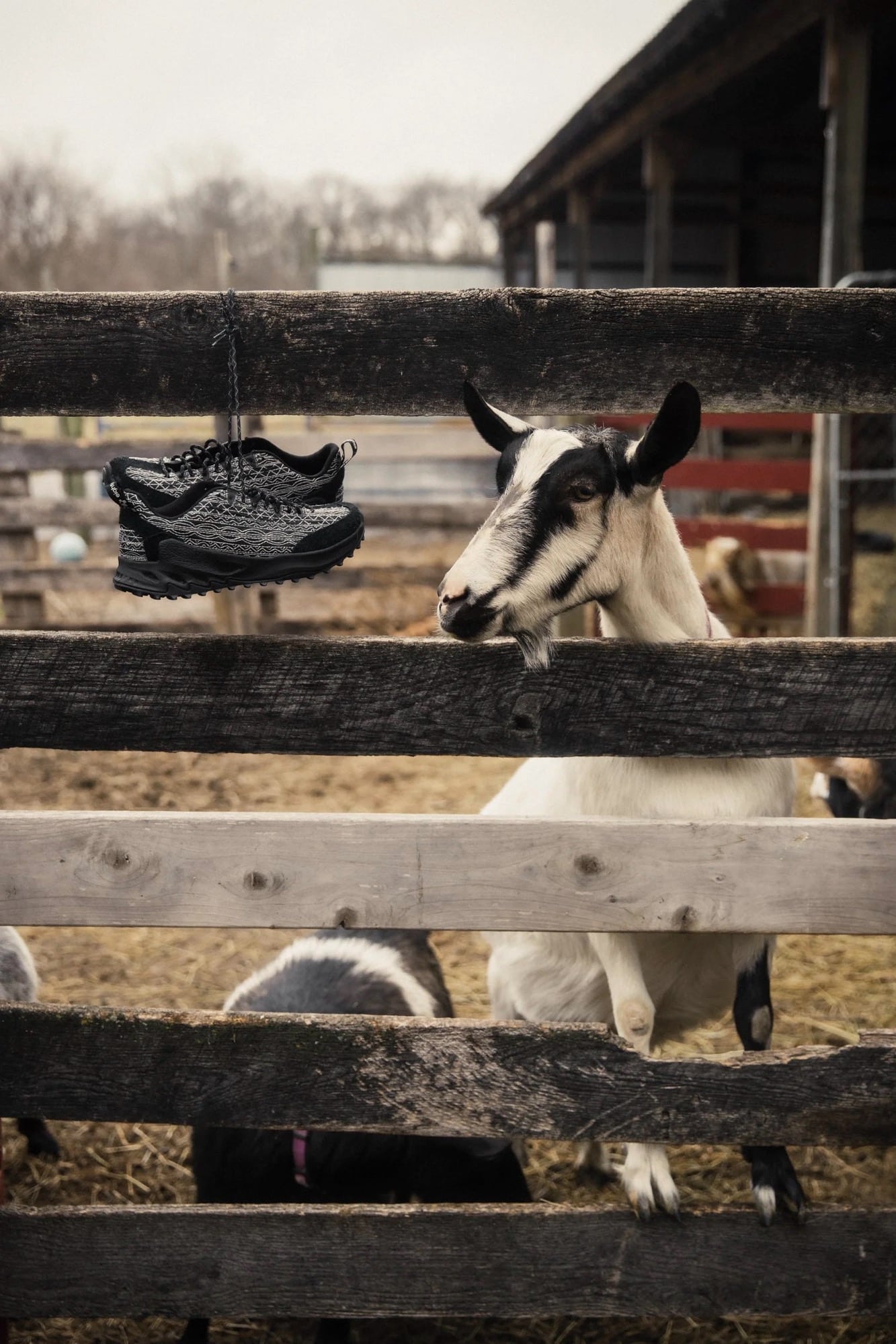 18 East x KEEN Jasper Zionic Spring 2026 8