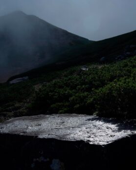 Editorial and Wander Spring Summer 2026 0