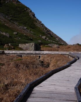 Editorial and Wander Spring Summer 2026 6