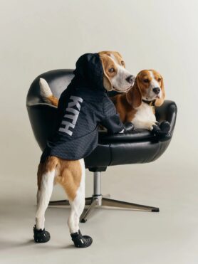 Lokkbook Kith for wagwear Summer 2026 11