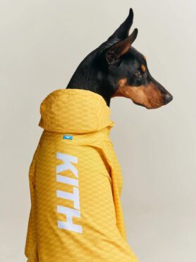 Lokkbook Kith for wagwear Summer 2026 2