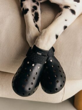 Lokkbook Kith for wagwear Summer 2026 5