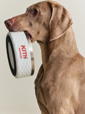 Lokkbook Kith for wagwear Summer 2026 7