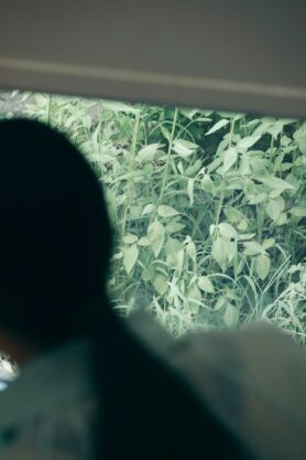 Lookbook GOLDWIN Lifestyle Spring Summer 2026 53