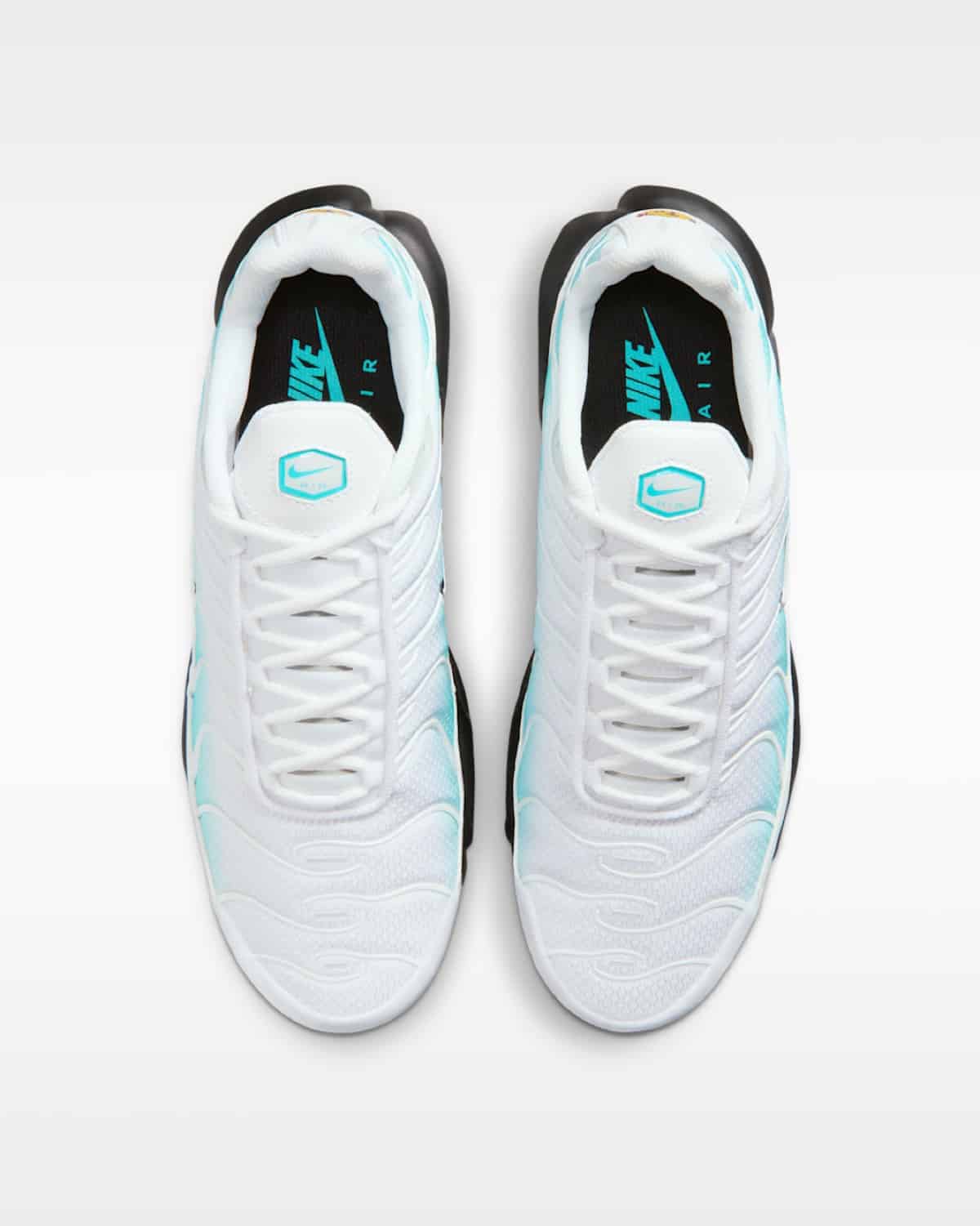 Nike Air Max Plus Dusty Cactus IU7539-345 5