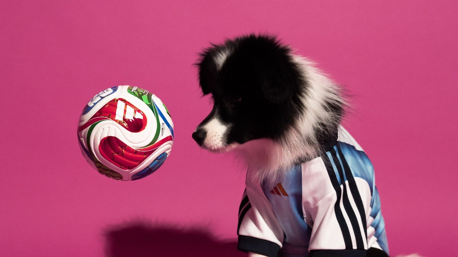 adidas FIFA World Cup 2026 Pet Collection 10