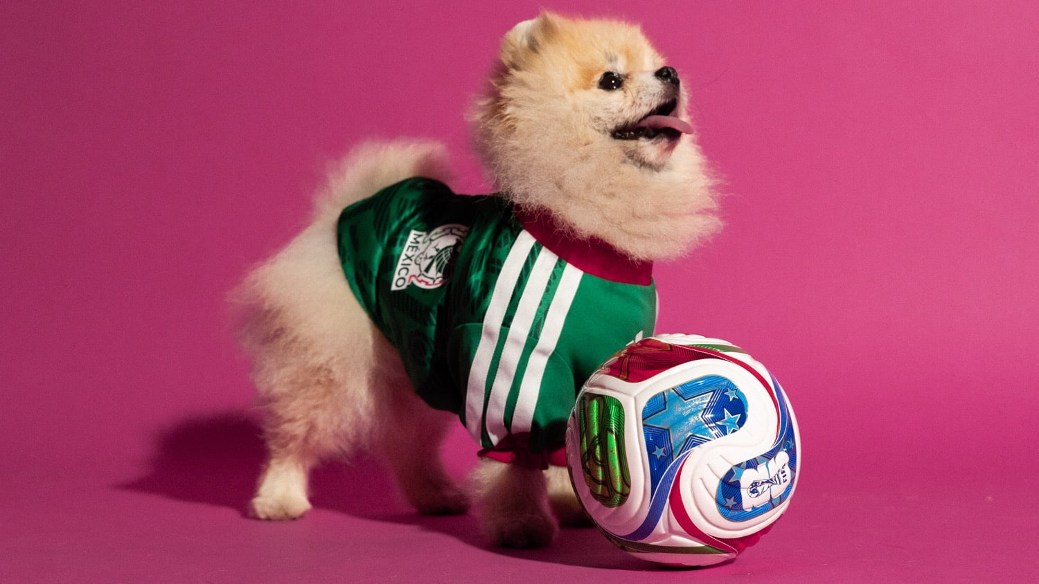 adidas FIFA World Cup 2026 Pet Collection 4