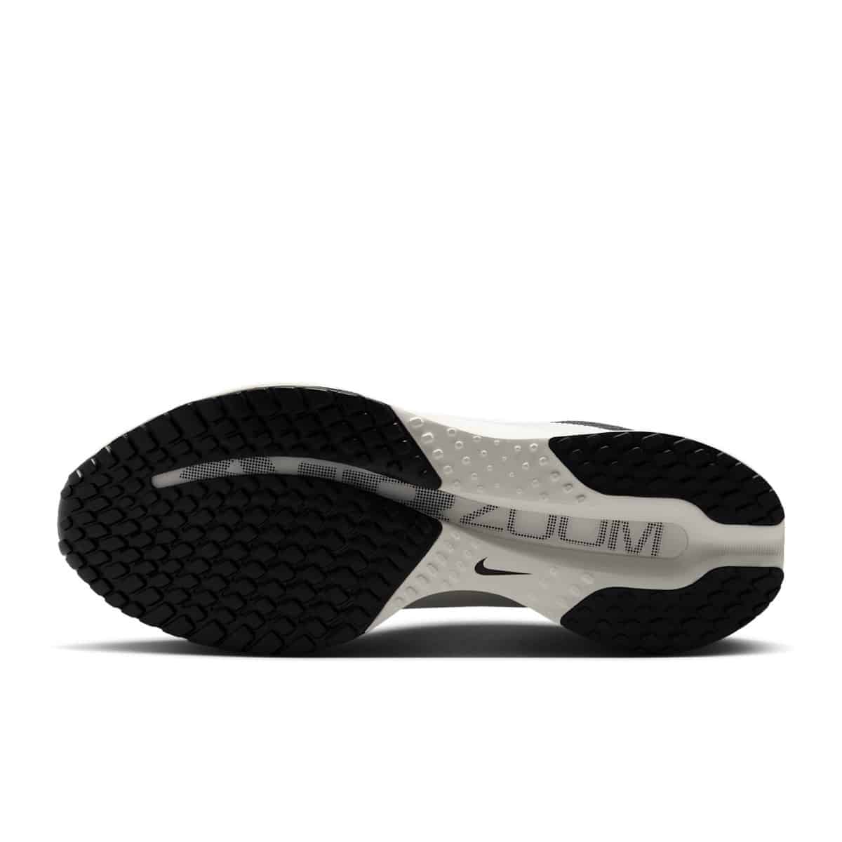 Nike Pegasus Premium Black Sail IR2166-001 1