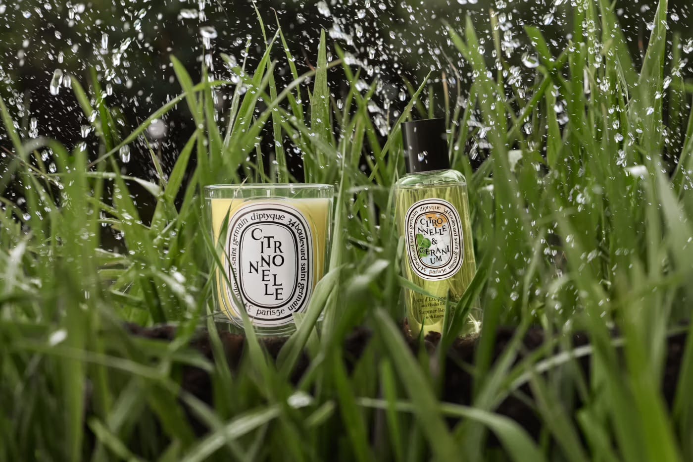 Diptyque Summer 2026 8