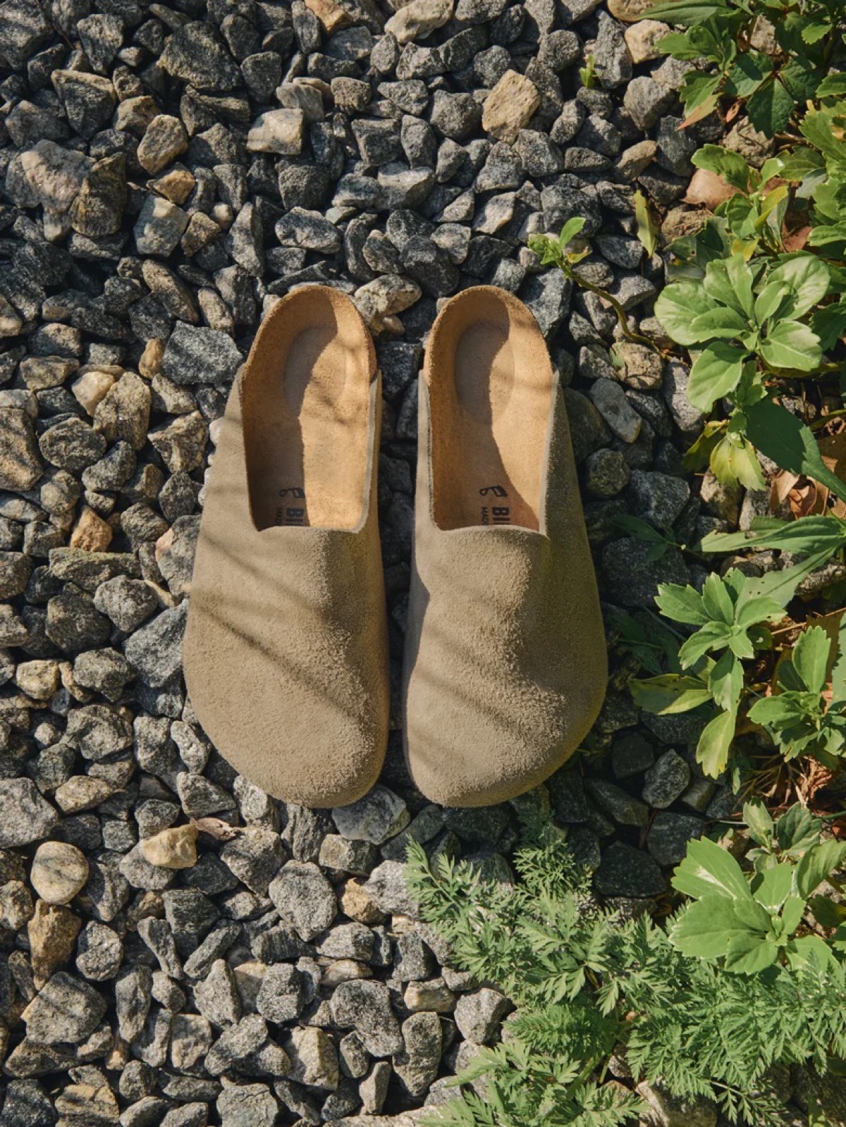 Kith for Birkenstock Summer 26 3