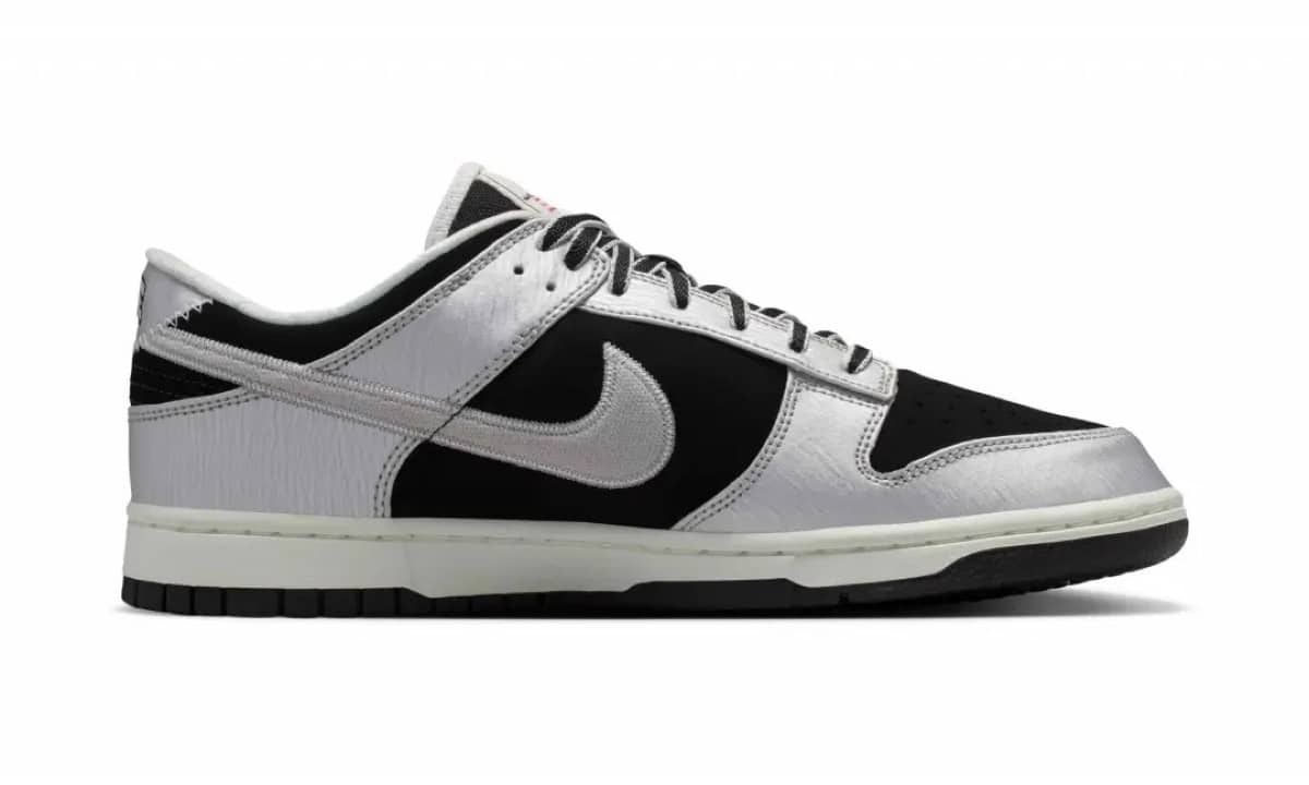 Nike Dunk Low Metallic Silver Varsity Pack IM4413-001 3