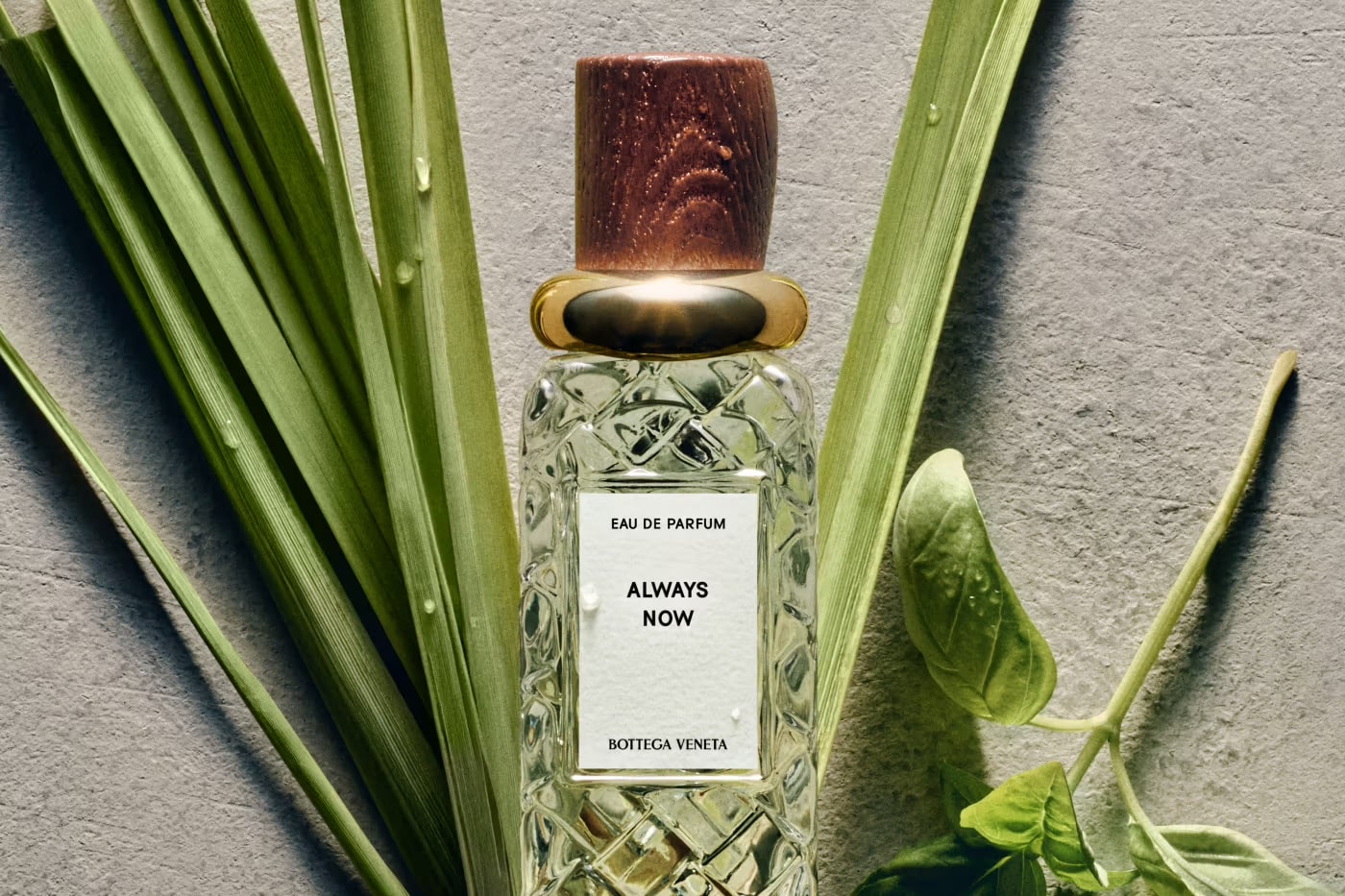 kolekcja perfum Bottega Veneta Alta 2026 3