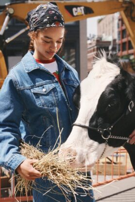Lookbook Sky High Farm Goods x Levis Summer 2026 2
