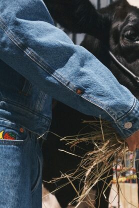 Lookbook Sky High Farm Goods x Levis Summer 2026 3