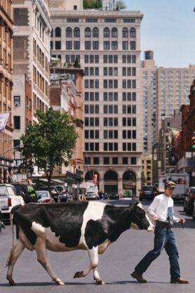 Lookbook Sky High Farm Goods x Levis Summer 2026 5