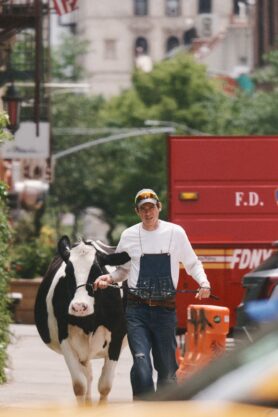 Lookbook Sky High Farm Goods x Levis Summer 2026 6