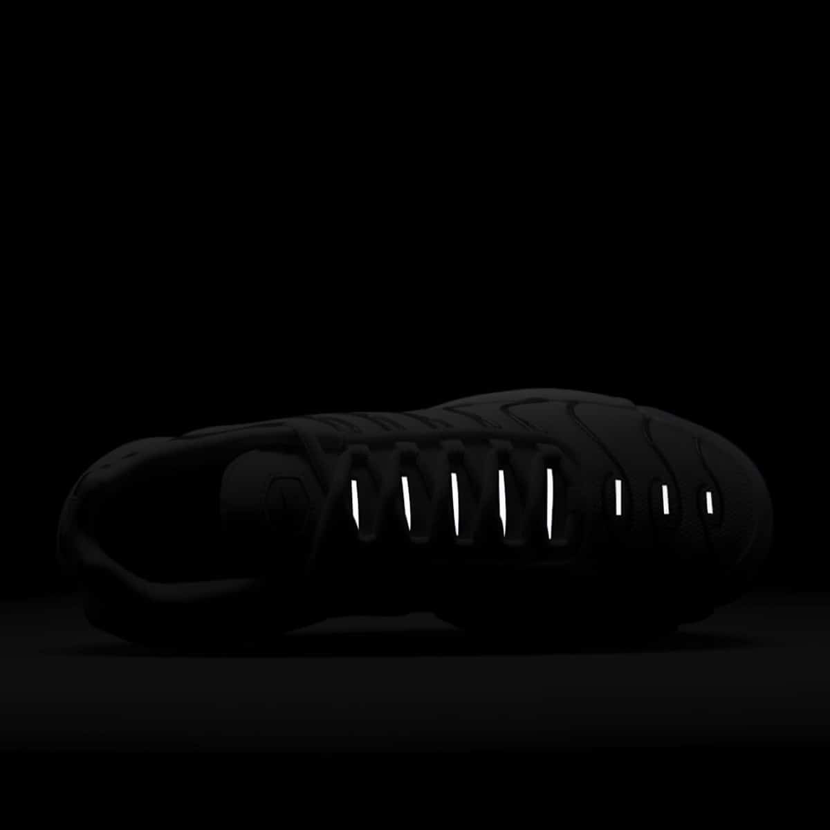 Nike Air Max Plus White Pure Platinum HJ9743-100 9