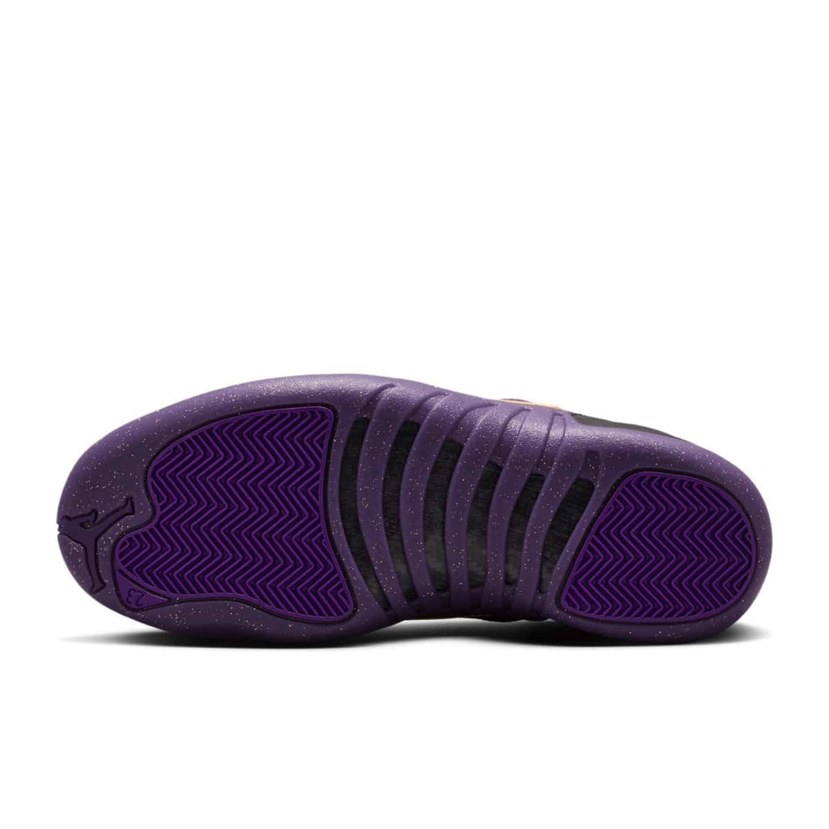 Air Jordan 12 Sumo IW1218-098 1