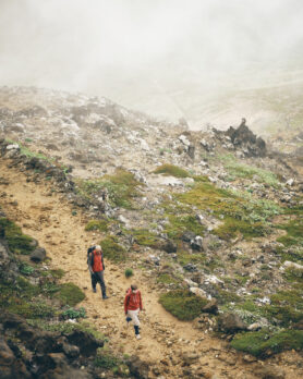 Editorial and Wander Fall Winter 2026 24