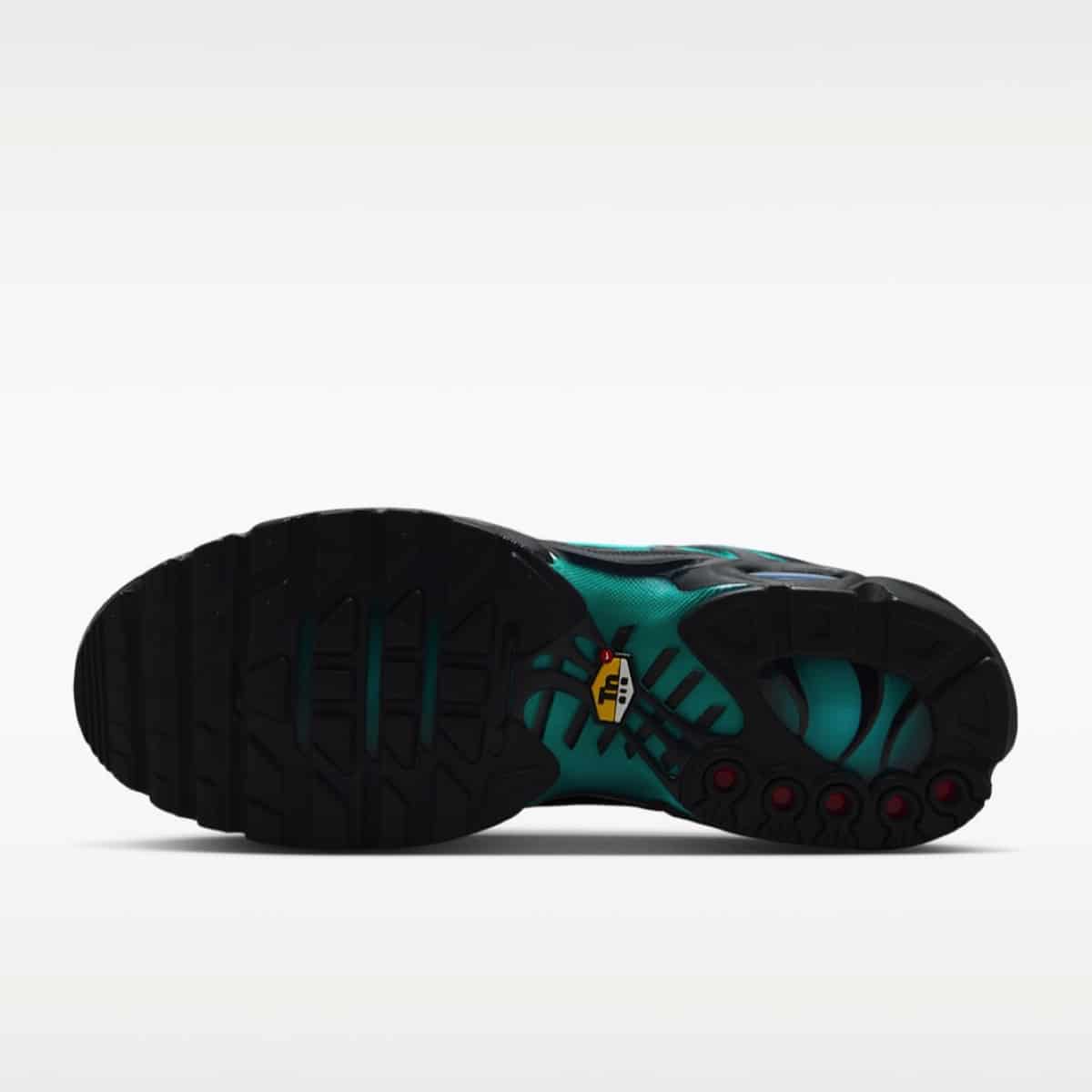 Nike Air Max Plus Dusty Cactus IV5756-001 1