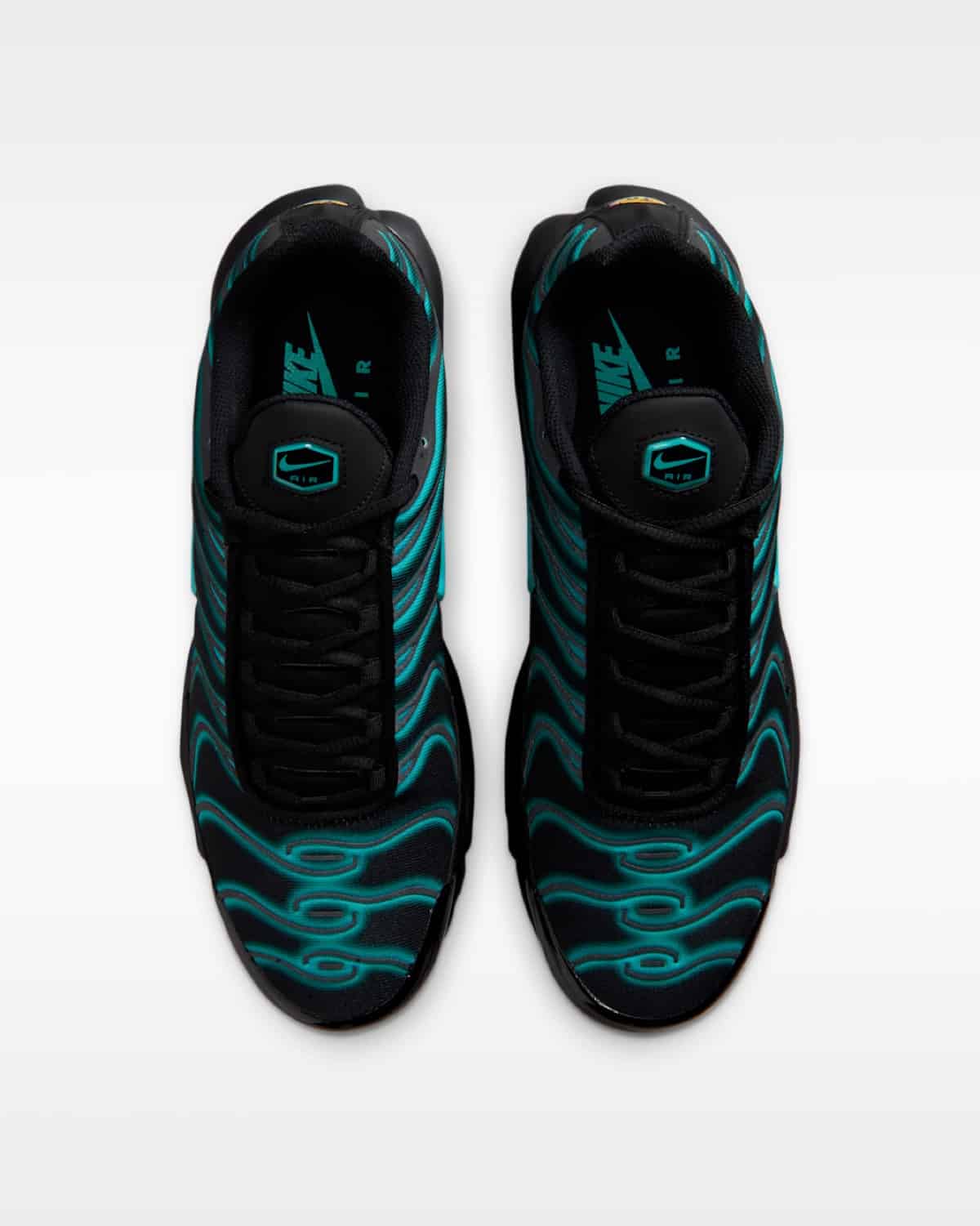 Nike Air Max Plus Dusty Cactus IV5756-001 5