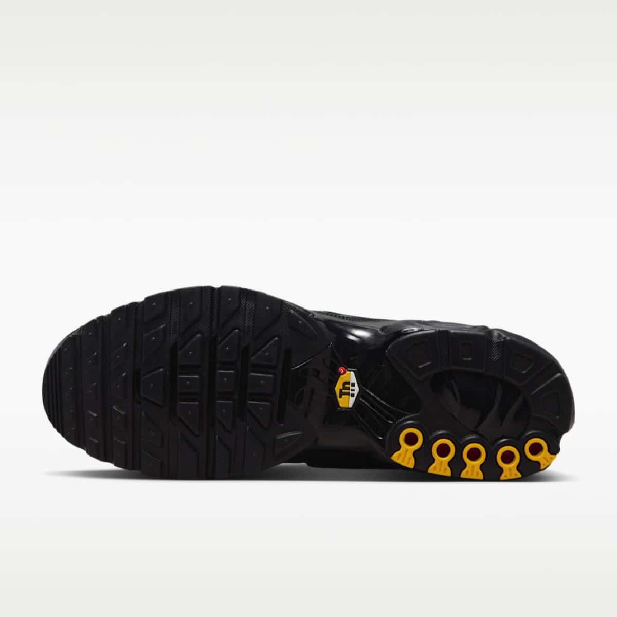Nike Air Max Plus Oil Slick IH7960-001 1