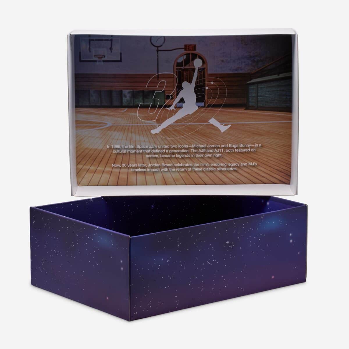 Air Jordan 9 OG Space Jam IX6179-100 00