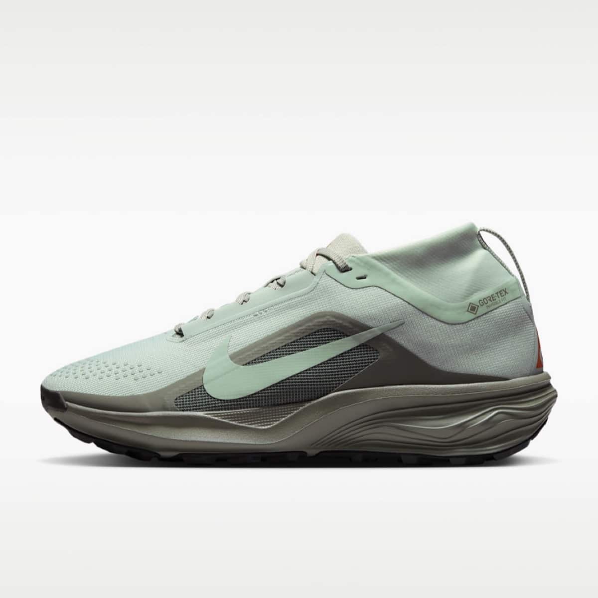 Nike ACG Pegasus Trail GORE-TEX Light Silver Light Army IQ1084-003 2