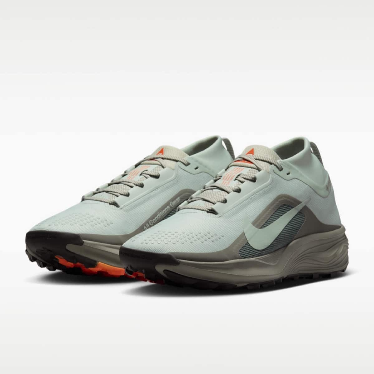 Nike ACG Pegasus Trail GORE-TEX Light Silver Light Army IQ1084-003 4