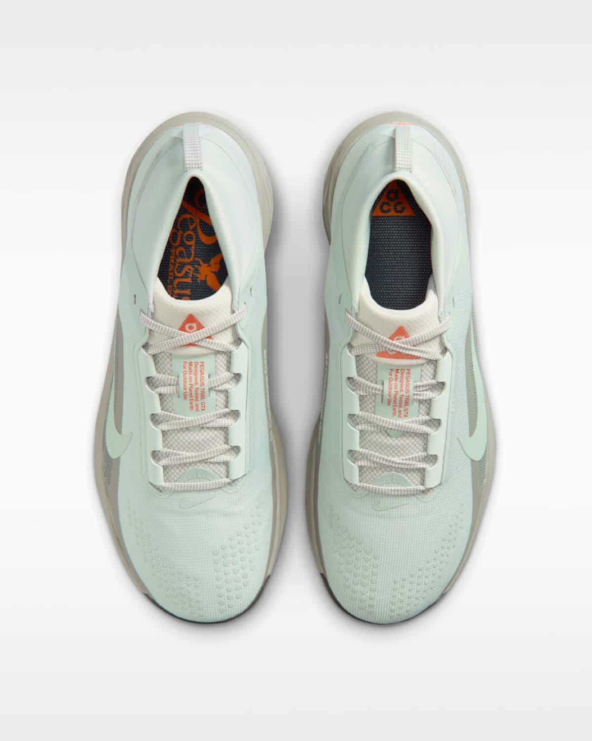 Nike ACG Pegasus Trail GORE-TEX Light Silver Light Army IQ1084-003 5