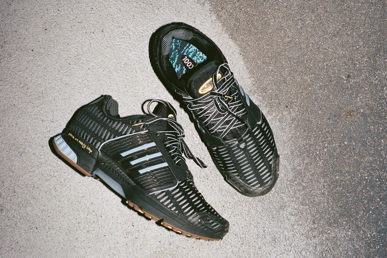 Always Do What You Should Do projektuje kolekcję wokół adidas Climacool